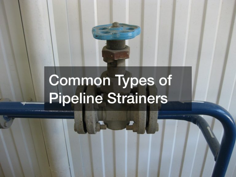 Common Types of Pipeline Strainers Technology Radio